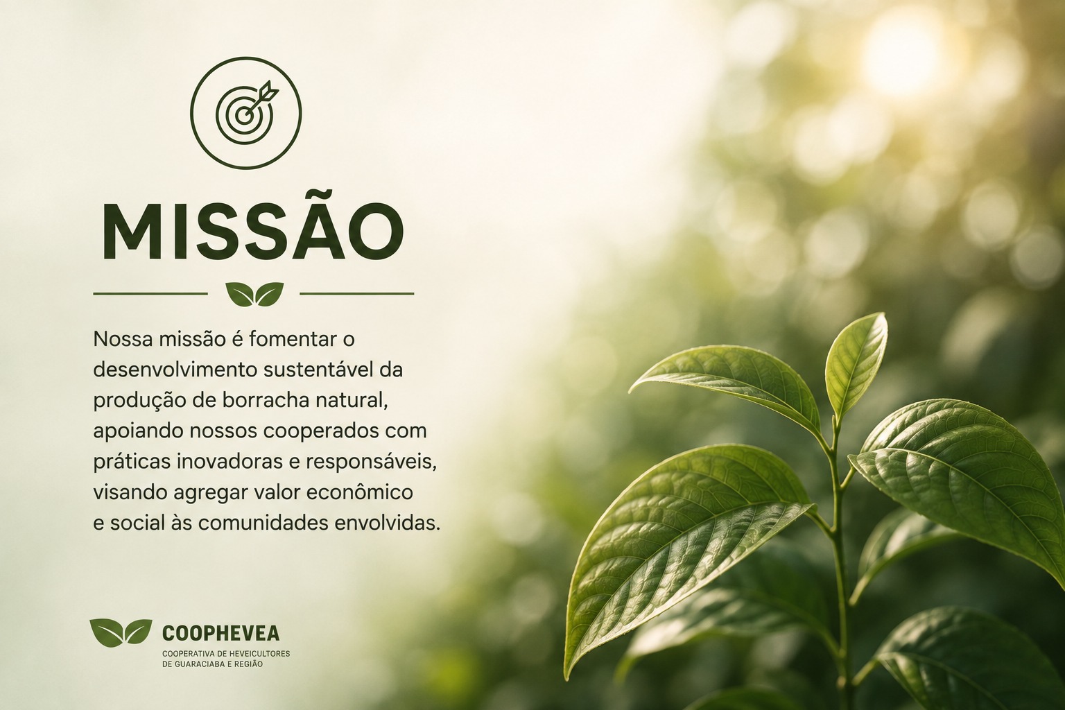 Imagem 1 da seção Nossa Qualidade
